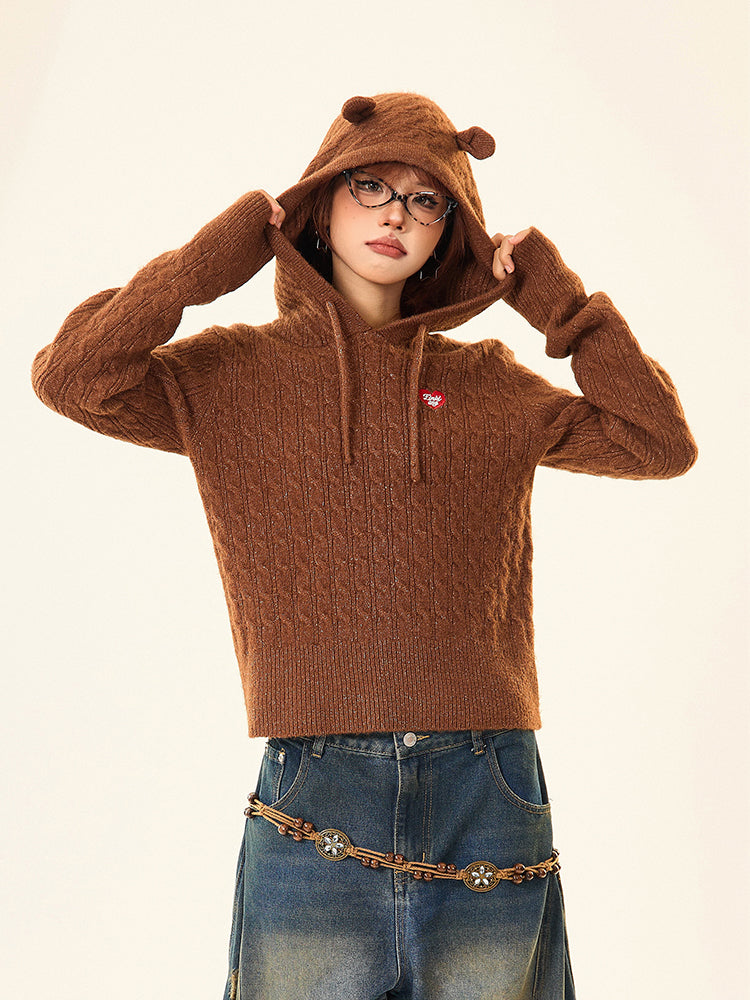 Bear Ears Hooded Knit Sweater