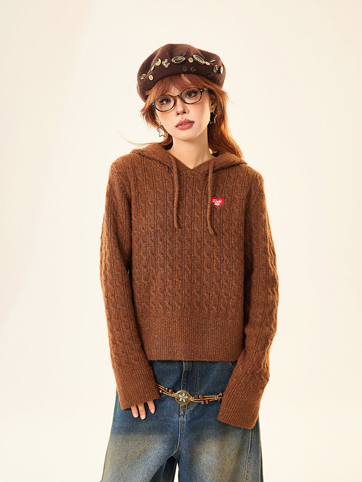 Bear Ears Hooded Knit Sweater