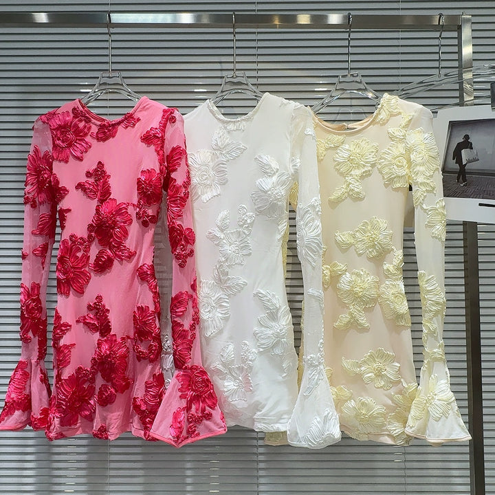 Floral Embroidered Long Sleeve Dress